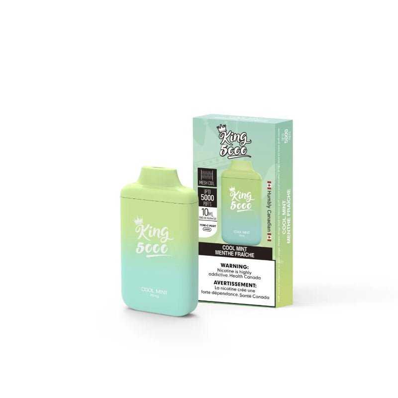King Cool Mint Nicotine Free Disposable Vape 6000 Puffs - DISPOSABLE - Mister Vapor