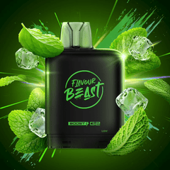 Level X G2 Boost Flavour Beast Pods - Super Spearmint, 25k Puffs - Pods - Mister Vapor