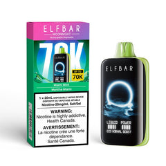 Elf Bar MoonNight Miami Mint 70K Disposable Vape - DISPOSABLE - Mister Vapor