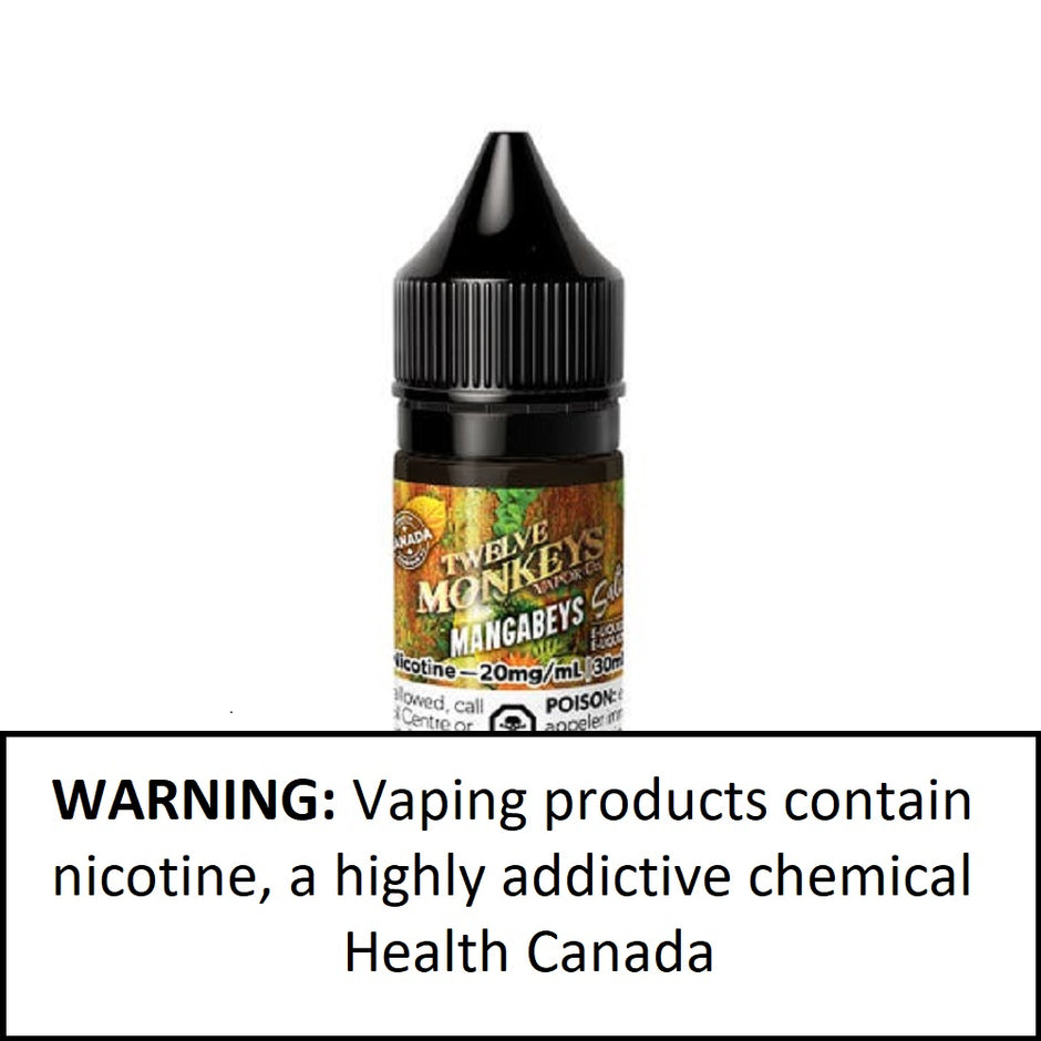 Twelve Monkeys  Mister Vapor