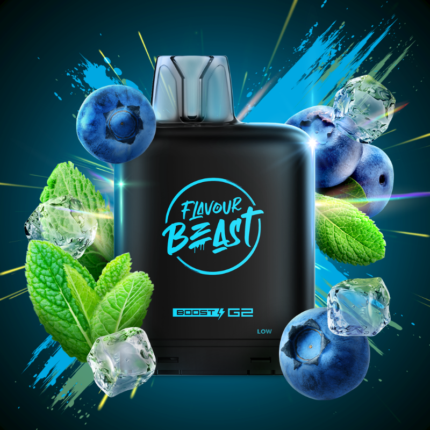 Level X G2 Boost Flavour Beast Pods - Blessed Blueberry Mint, 25k Puffs - Pods - Mister Vapor