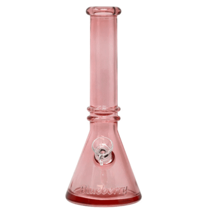 10" Blueberry Double Ring Beaker Bong - Herbal Vaporizer - Mister Vapor