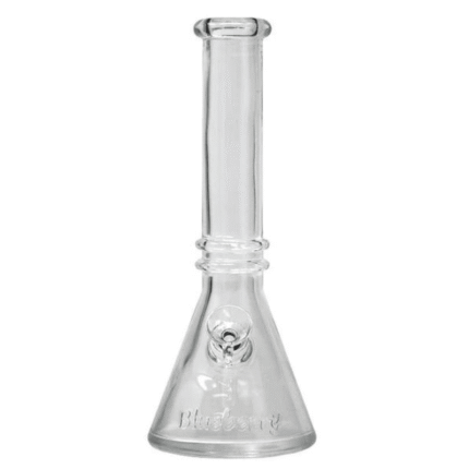 10" Blueberry Double Ring Beaker Bong - Herbal Vaporizer - Mister Vapor