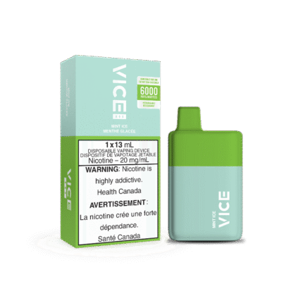 Vice Box Mint Ice Disposable Vape Rechargable (6000 Puff) - DISPOSABLE - Mister Vapor